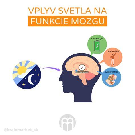 Graf alebo infografika: Vplyv výživy na kognitívne funkcie u starších psov