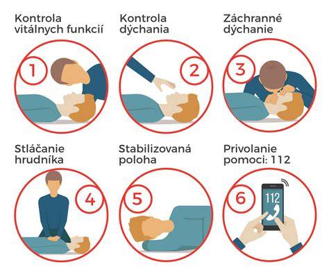 Infografika: Základný postup prvej pomoci pri zranení psa v bodoch
