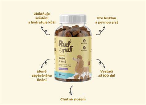 Infografika: Vzhľad a potreby psov v byte (pohyb, srsť, hygiena)