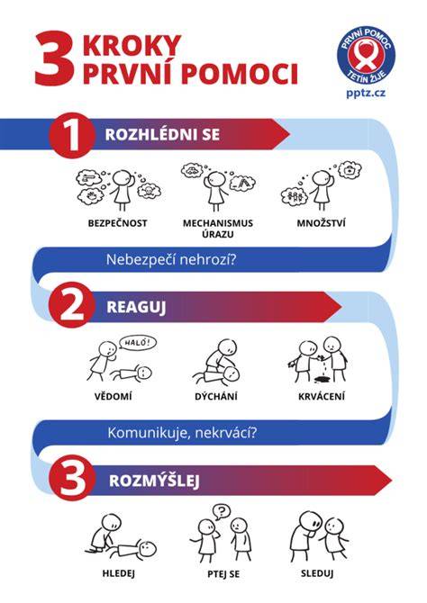 Infografika: Postup pri pohryznutí psom a právne kroky