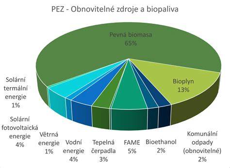 Infografika: Graf porovnania veľkostí a energetických potrieb psov