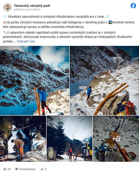 Pes pri práci v teréne počas hľadania