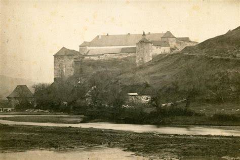 Obrázok: Historický pohľad na pôvod plemena