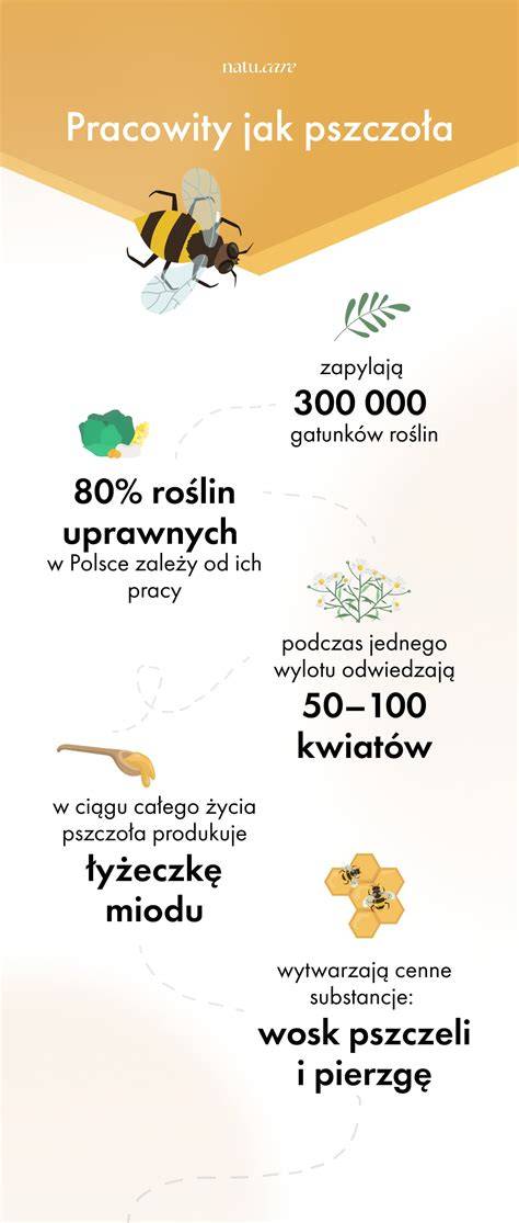 infografika-pomoc-utulku.jpg