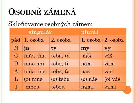Schéma skloňovania osobných zámen podľa vzoru môj