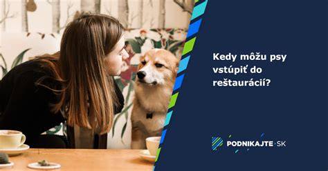 Infografika: Vstup so psom do reštaurácie - podmienky a pravidlá