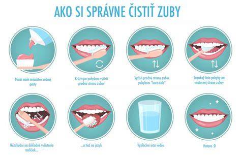 Schéma správnej starostlivosti o zuby psa