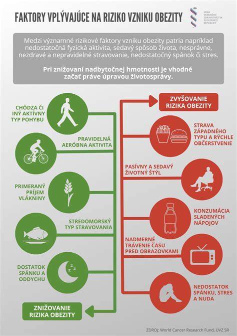 Infografika: Fazy života psa a rizikové ochorenia