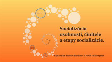 Infografika: Etapy socializácie šteniatok (4.-8. týždeň) a základné potreby schnutia, hygieny a socializácie