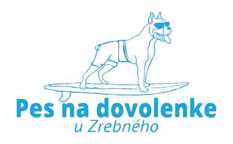 Ilustrácia: Riziká infekcií psov na dovolenke pri mori