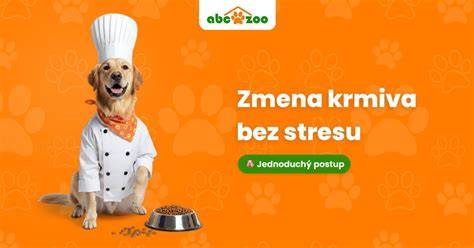 Infografika: Ako bezpečne prejsť na nové krmivo a čo sledovať pri zmenách stravy psa