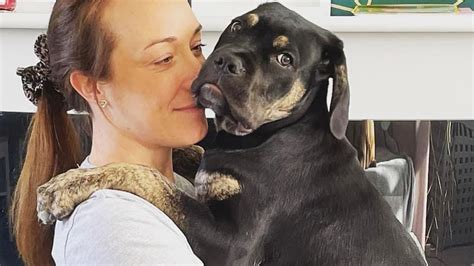 Pes v náručí majiteľa