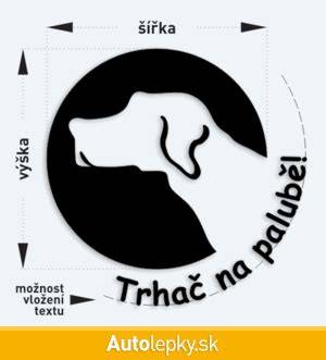 Francúzsky pyrenejský stavač - silueta a proporcie na teréne