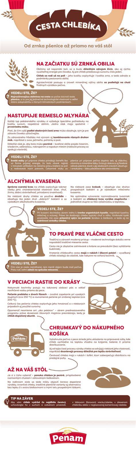 Infografika: Cesta od fotenia k finálnemu albumu