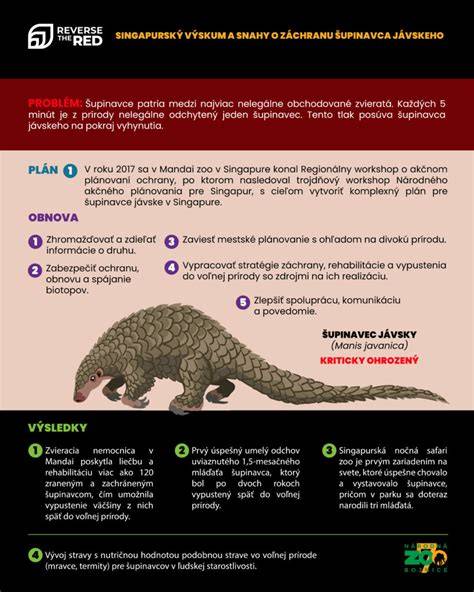 Infografika: postup prípravy špic koláča