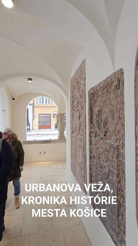 Obrázok ukazuje elegantného Írskeho setra v plnej kráse a s typickou gaštanovou srsťou.