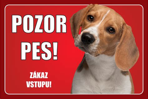 grafická infografika: Výhody personalizovanej tabule s fotografiou psa