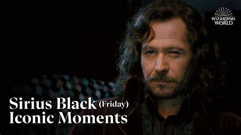 Infografika: Sirius Black ako zvieromág a jeho vzťah k ostatným hlavným postavám