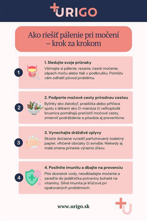 Infografika: Krok za krokom pri hľadaní strateného psa