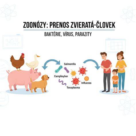 Infografika: Klíšťatá a choroby prenášané na psy a mačky