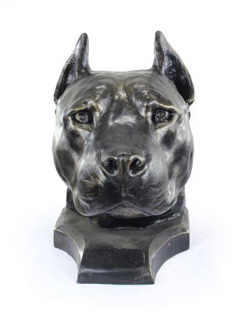 Amstaff: svalnatý vzhľad, široká hlava, tmavé oči