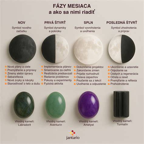 Infografika: Štyri fázy hárania a kedy sú fenky plodné