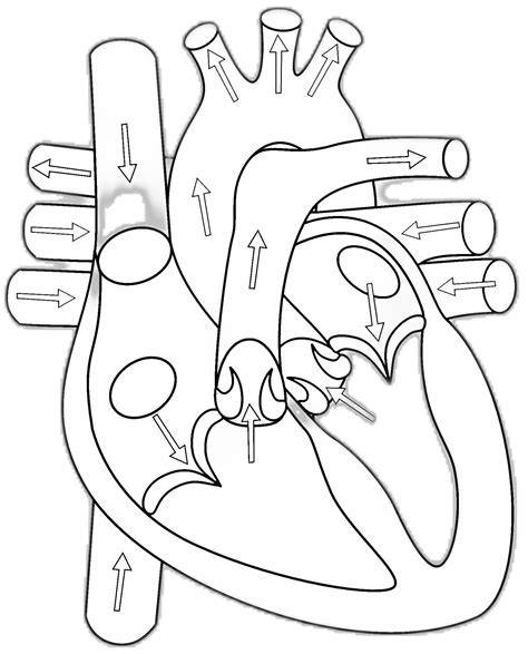 schemat-vyzbroja-dog-trace.png