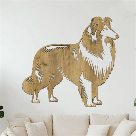 Ilustrácia vyváženej hlavy kólie