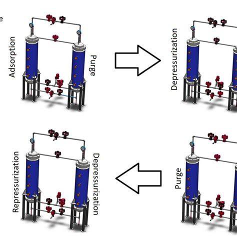 diagram proporcií psa