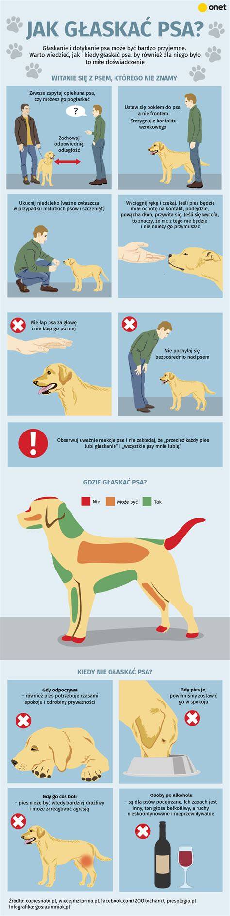 infografika_hra_psa.jpg