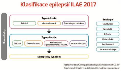 Infografika: Typy epileptických záchvatov u psov a ich rozlíšenie