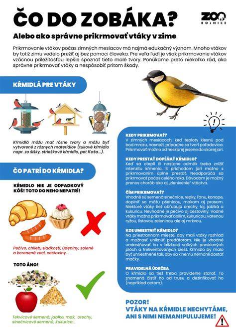 Infografika: Čo všetko skontrolovať pri kúpe šteniatka z chovateľskej stanice