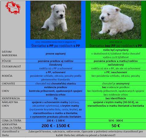 Príklad preukazu pôvodu psa (PP)