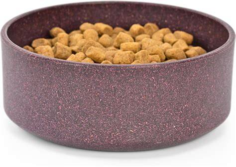 Healthy dog food bowl