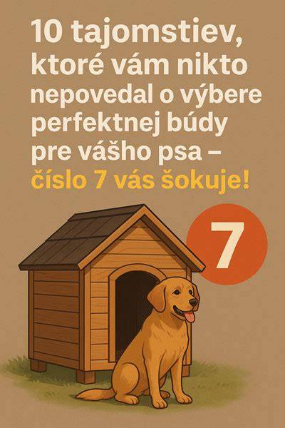 Grafická schéma: správne rozmery psej búdy a pomery veľkosti psa