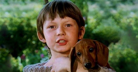 Pes Tomáš po záchrane