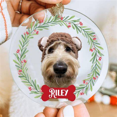 illustration of personalized dog gifts