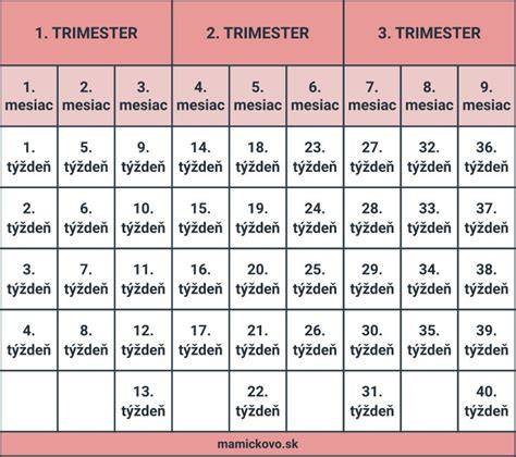 Infografika: Rast šteniat podľa veľkosti plemena (týždne a mesiace)