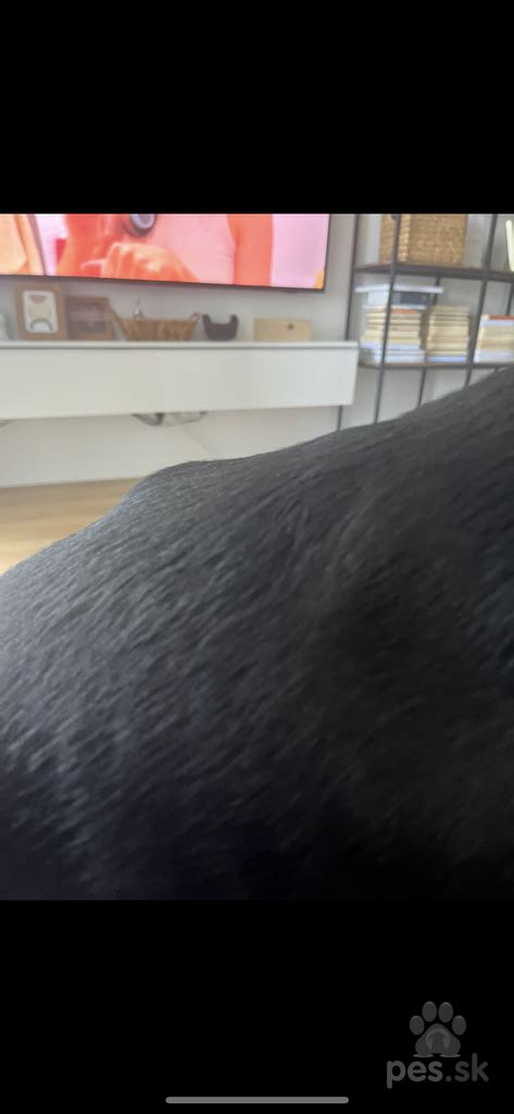 Detailný záber na charakteristický 