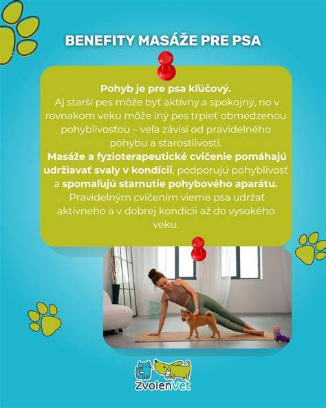 Infografika: Cesty k zdravej stolici psa (faktory, ktoré pomáhajú alebo bránia vyprázdňovaniu)