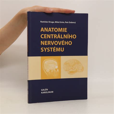 Ilustrácia nervového systému psa