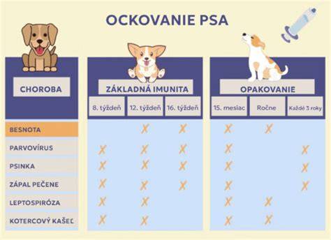 Infografika: plán očkovania a odčervovania šteniatka