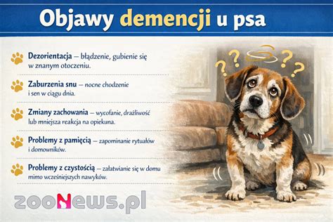 Infografika: Demodikóza u psa a jej formy (lokalizovaná vs. generalizovaná)