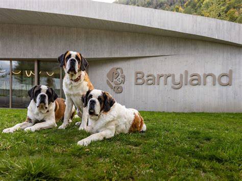 Obrázok: Barryland v Martigny, múzeum a chovná stanica Saint Bernard