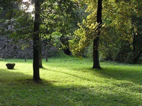 Mapa bežných situácií: návšteva doma, prechádzka, ľudia v parku - čo trénovať kde
