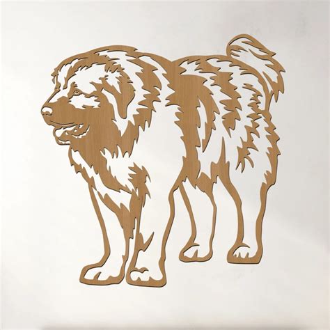 Detail srsti šarplaninského pasteveckého psa