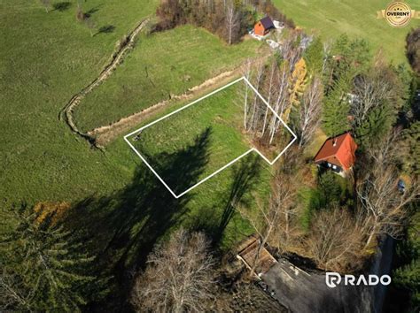 Pes v horskom prostredí