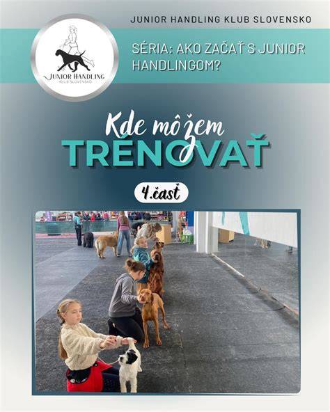 Mapa činností: kde a kedy psom najviac pomáha pozornosť a tréning