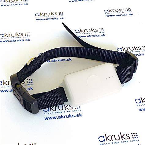 Neviditeľný plot a GPS sledovanie - bezpečná kombinácia pre veľkých psov