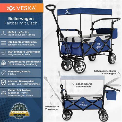 Infografika: Ako vybrať vozík pre veľkého psa - faktory (veľkosť, typ postihnutia, nastavenie, materiály)